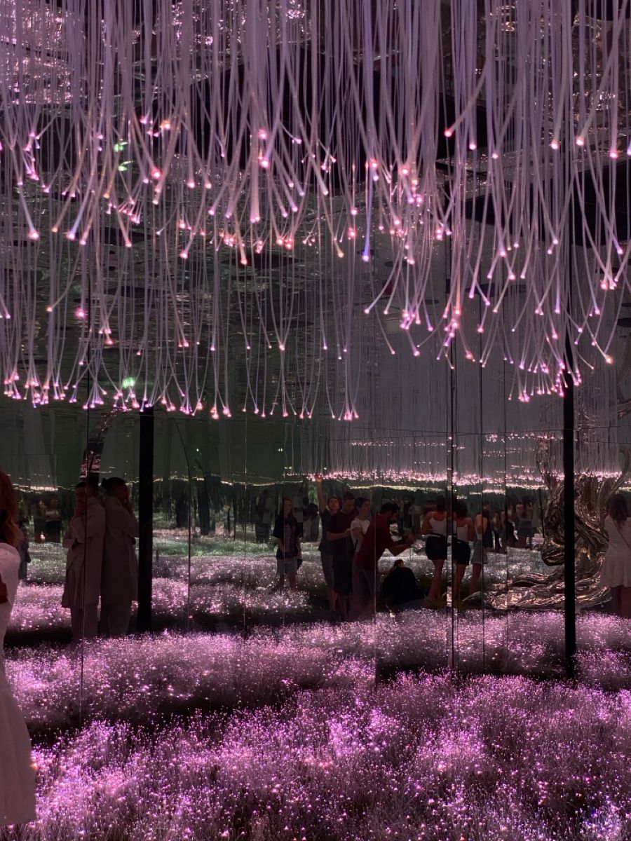 Interactive Environments